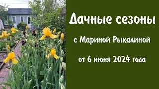 Дачные сезоны с Мариной Рыкалиной от 6 июня 2024 года