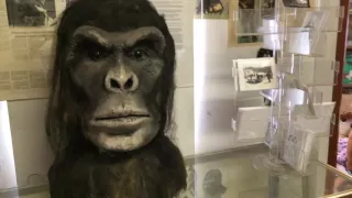 A Visit to the Bigfoot Discovery Museum