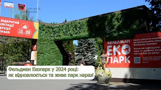 Фельдман Екопарк у 2024 році: як відновлюється та живе парк наразі