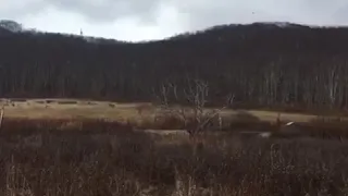 Осень.Вальс Бостон