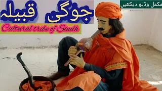 Jogi tribe | Cultural Sindhi
