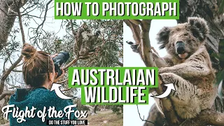 How to PHOTOGRAPH Australian Wildlife | 5 SIMPLE TIPS | Mikkira Station | SA Roadtrip