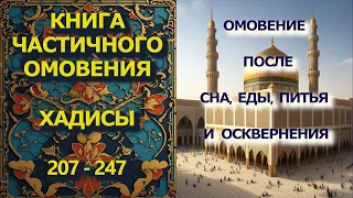 Сахих аль - Бухари. Хадисы 207 - 247.  Книга частичного омовения