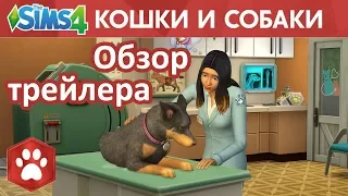 The Sims 4 | Кошки и собаки | дополнение | обзор трейлера