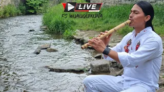 Beautiful Melodies #livestream #subscribe #share #fabiansalazarwuauquikuna