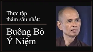 Buông bỏ ý niệm - Trích Pháp thoại Sư Ông Làng Mai 21/08/1997