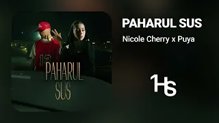 Nicole Cherry x Puya - Paharul sus | 1 Hour