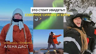 Влог Мурманск 🐋УВИДЕТЬ КИТОВ И СИЯНИЕ🥹 Путешествие с Аленой Даст!