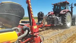 Corn planting - DynaTrac® and Vaderstad planter with Trimble TrueTracker | LAFORGE