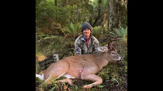 Hunting Stewart Island Whitetail with a Recurve Bow