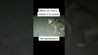 Лучшие тикток мемы #409 | Best TikTok memes #shorts #memes #мем