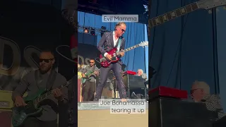 Joe Bonamassa Blistering Guitar Solo | Evil Mama