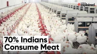 Explained: How Much Meat Matters To India?