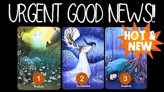 🙌Some Urgent GOOD NEWS From Your Spirit Guides!✨🤩🤩🤩✨PICK A CARD 🃏