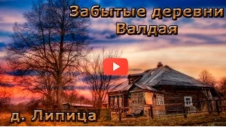 Забытые деревни Валдая. д. Липица.