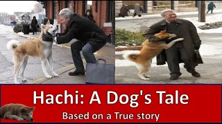 Hachiko The Full Story of a Loyal Dog | Hatchi: A Dog's Tale Movie Storyline|#Hachiko |#Animalmovie