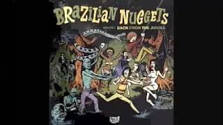 Various - Brazilian Nuggets : Back From The Jungle Vol 1: 60s Garage Rock, Surf Psychedelic Music 🇧🇷