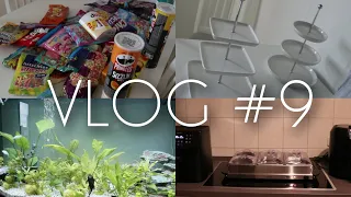 [VLOG #9] Lidl Haul | Globus Haul | Dm Haul | neue Mitbewohner | Filmeabend