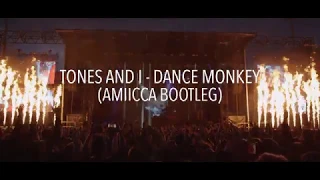 Tones and I - Dance Monkey (Amiicca Bootleg)