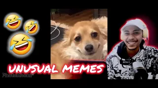 React - UNUSUAL MEMES COMPILATION V135