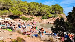 Amazing beach| Cala Nova Beach Ibiza|Strand Ibiza |Relaxing waves |amazing vid