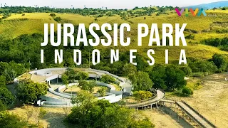 Wajah Baru Pulau Rinca Labuan Bajo, 'Jurassic Park' Komodo Indonesia