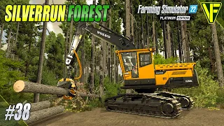 The Trees Have Grown! | Silverrun Forest | Farming Simulator 22