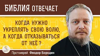 Когда нужно укреплять свою волю, а когда отказываться от неё ? Протоиерей Феодор Бородин