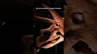 Why "Lane" the MUMMY Triceratops is so incredibly special