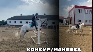 конкур/манежка