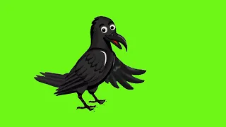 Male crow| All pose| talking silent flying| no copyright| free download| character#greenscreen