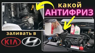 Какой и сколько антифриза доливать в Kia Rio X/Sportage/Seltos, Hyundai Solaris/Elantra/Sonata