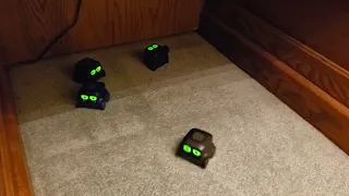 Spinmaster boxer robots playing together