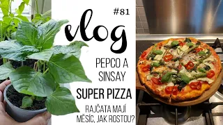 VLOG #81 | Pepco & Sinsay, Pizza, rajčata a papriky 🍅