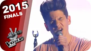 I See Fire - Ed Sheeran (Noah Levi) | Finals | The Voice Kids 2015 | SAT.1