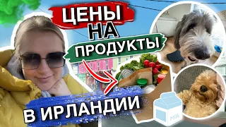 ☘️VLOG/ВОСКРЕСЕНЬЕ НАЧИНАЕМ С РЕГБИ☺️/🇮🇪GREYSTONES🇮🇪/❗️ЦЕНЫ НА ПРОДУКТЫ В ИРЛАНДИИ❗️