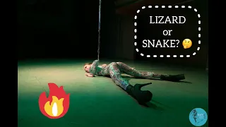 Lizard or Snake? Exotic Pole Dance Championship