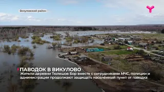 Паводок в Викуловском районе