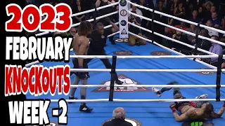 MMA & Boxing Knockouts I February 2022 Week 2