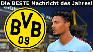 Comeback: Haller ist ENDLICH zurück & feiert BVB Debüt!