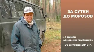 За сутки до морозов и снега! Дневник грибника 26 октября 2019 .