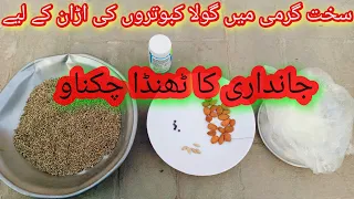 How To Make Easy Chiknao Food For Pigeons  || Badam wali Khurak Tyar Karny Ka Asan Tarika