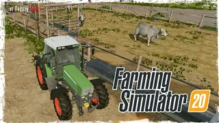 РАЗВЕДЕНИЕ КОРОВ | Farming Simulator 20 #16