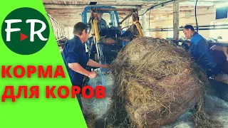 Чем кормят молочных коров в КФХ Овсянникова? Залог молока - вовремя скошенная трава.