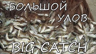 Рыбалка Кастинговой Сетью! Лучший улов! top 7 casting net catches!