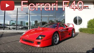 Ferrari F40