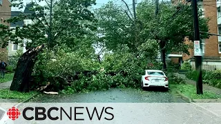 Lee leaves behind downed trees, toppled hydro lines and washed-out roads