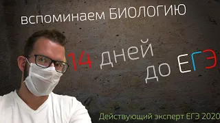 12 дней до ЕГЭ | Подготовка к ЕГЭ по биологии | Решаем СТАТГРАД 05112019