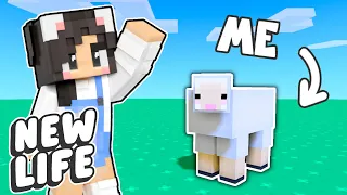 💜Minecraft BUT I'M A SHEEP! New Life SMP #5