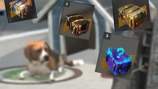 Doggo Crate Opening | WoTB